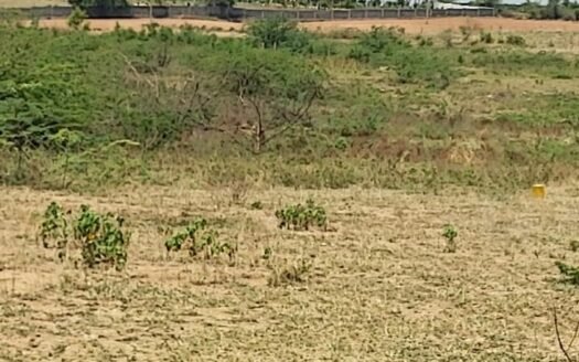 25 Cents Land For Sale