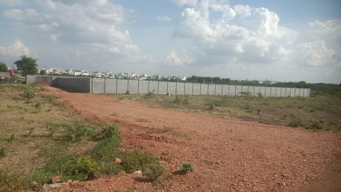 video image