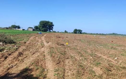 2.75 Cents Plots For Sale