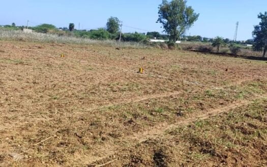 2.75 Cents Plots For Sale